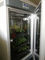 Incubadora artificial da caixa do crescimento vegetal da máquina da germinação da semente do clima da câmara de crescimento vegetal